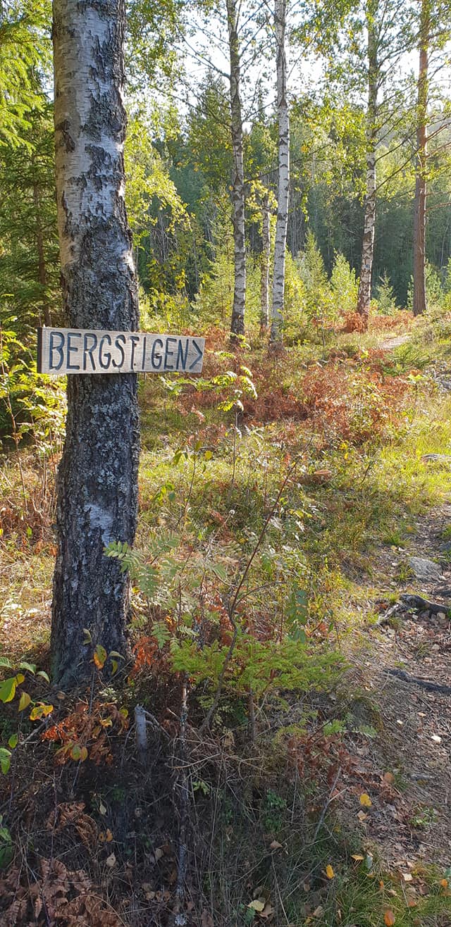 Topptur med Hof IL